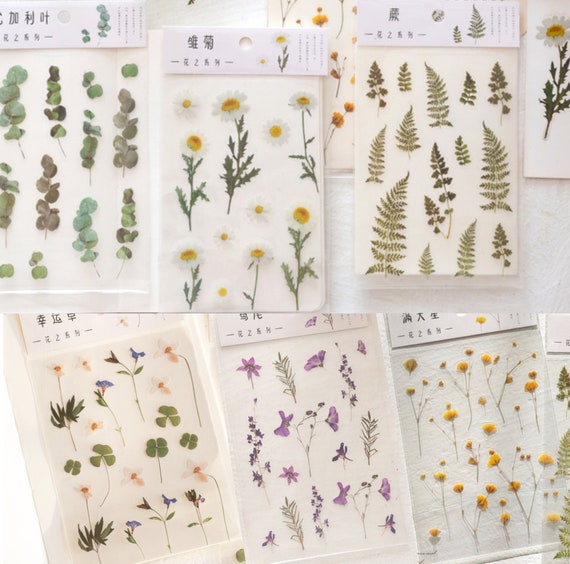 6 Sheets Flower and Leaf Stickers Flower Bullet Journal Etsy