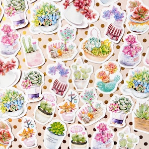 45pcs pegatina de suculentas, pegatina de diario de balas botánicas, pegatina del planificador de plantas suculentas, sello de sobre de decoración de regalo de álbum de recortes de plantas