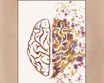 Lernzettel - Gehirn