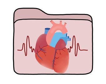 Study notes - Heart