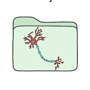 May include: A green folder with the word "Nervensystem" at the top. Inside the folder is a red and blue illustration of a neuron.