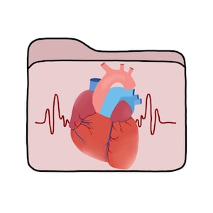 Può includere: Illustrazione digitale di un cuore umano in una cartella, con il testo tedesco "Das Herz" sopra. Il cuore è rosso e blu, con una linea rossa del battito cardiaco su entrambi i lati.