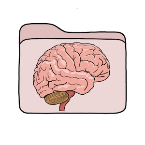 Könnte beinhalten: Eine Illustration eines Gehirns in einem rosa Ordner. Das Gehirn ist rosa mit braunen Umrissen, und der Ordner trägt den Text "Das Gehirn" in schwarzen Buchstaben.