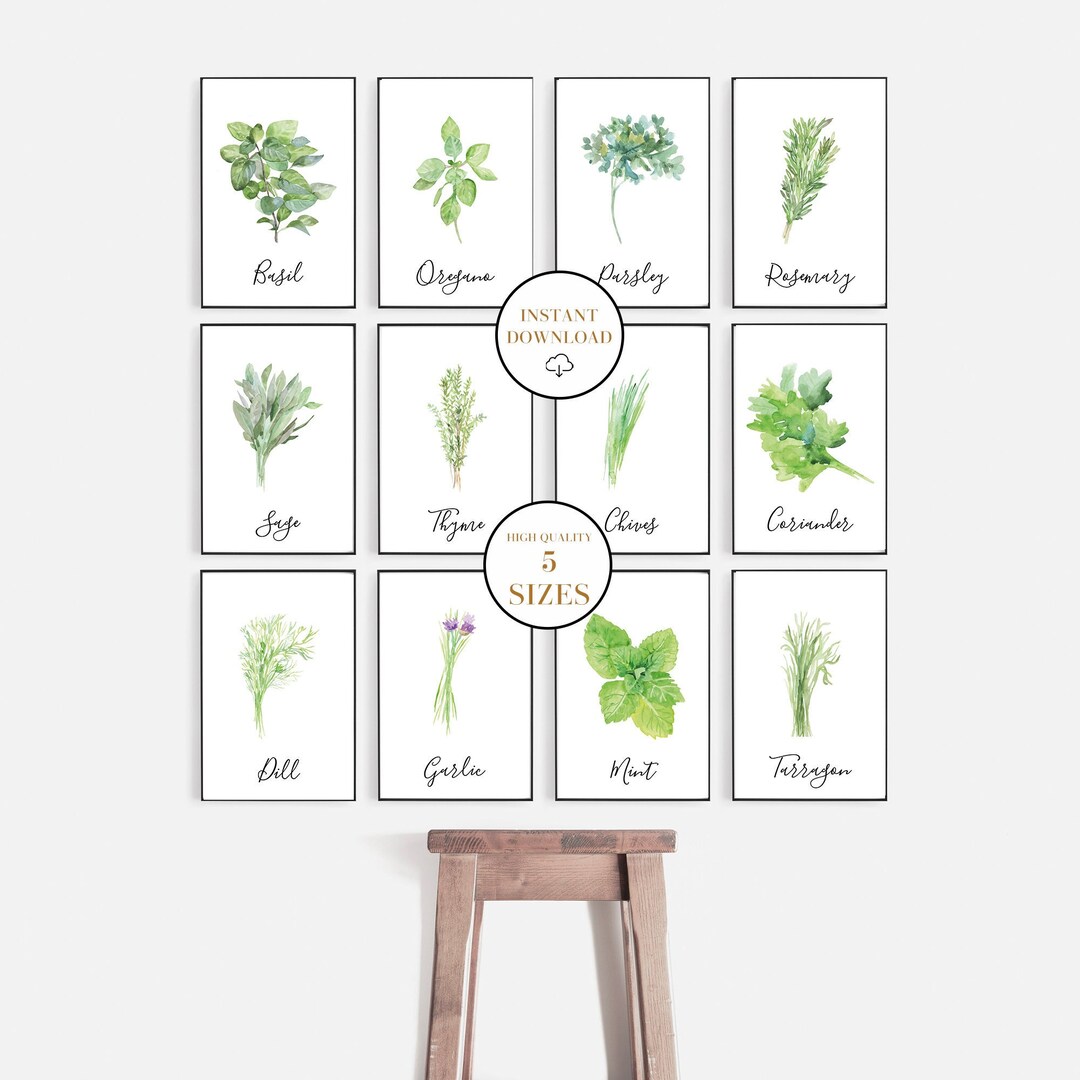 Herb Prints, Set of 12, Herb Printables, Kitchen Herb Printables ...