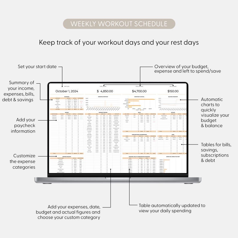Excel Monthly Savings and Expenses Budget Spreadsheet, Weekly Income Bills Debt Tracker for Personal Financial Organizer Biweekly Template image 14