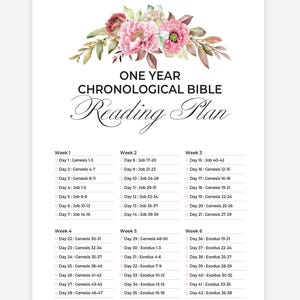 May include: A white paper with a floral design at the top, featuring pink and burgundy flowers. The text reads "ONE YEAR CHRONOLOGICAL BIBLE Reading Plan" with weekly reading schedules for Genesis, Job, and Exodus. The plan is designed for daily readings.