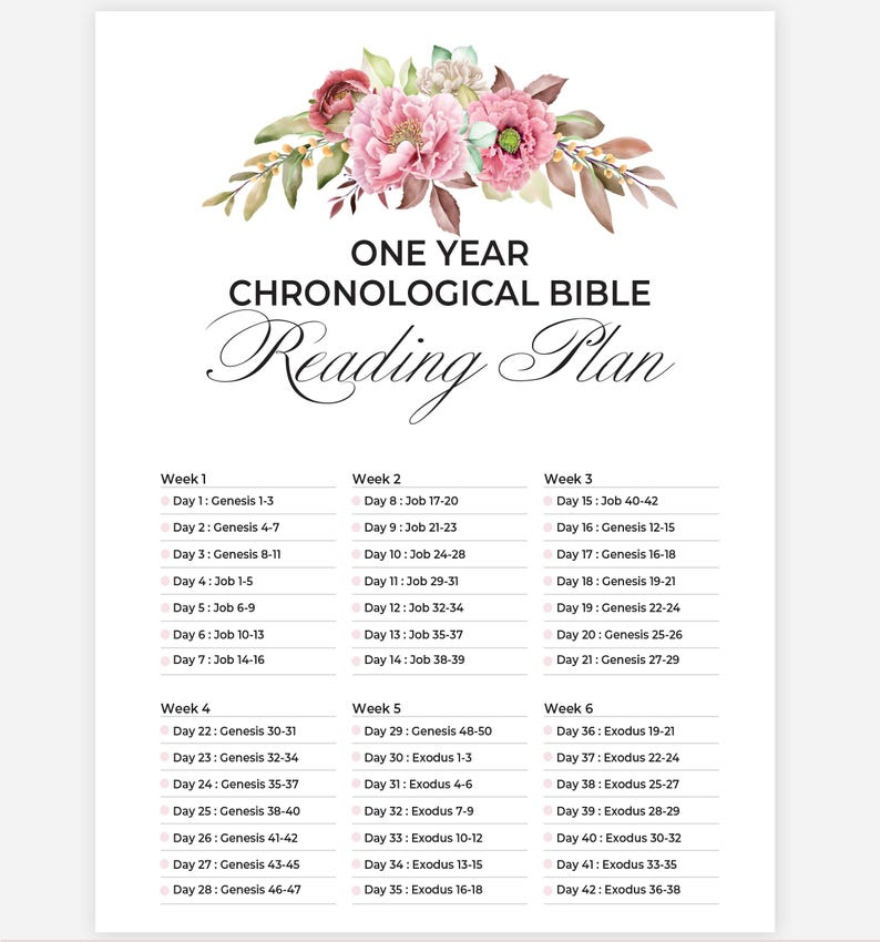 Chronological Bible Reading Plan Printable Bible Tracker One Year Bible ...