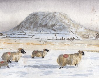 Aquarelle de mouton par Shemish Irish