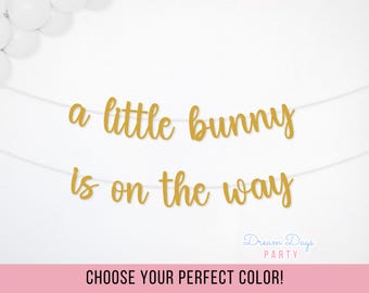 A Little Bunny is on the Way Banner, Baby Shower, Easter, Rabbit Themed, Gender Reveal Decorations
