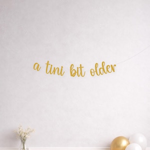 A Tini Bit Older Banner, Funny Birthday Adult Milestone Party Decoration, Martini Themed Event Decor image 2