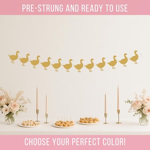 Silly Goose Banner for First Birthday Party – Goose Birthday Decor, One Silly Goose Garland, Custom Party Decoration
