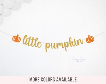 Little Pumpkin Banner, Fall Baby Shower Decor, Autumn Birthday Party Decoration, Harvest Party
