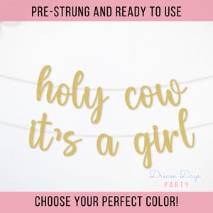 Holy Cow It&#39;s a Girl Banner - Cow Baby Shower Decor, Girl Cow Theme, Farm Baby Shower, Boho Highland Cow Party, Pink Baby Shower Banner