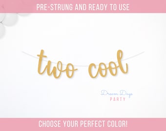 Two Cool Banner for 2nd Birthday Party | Cool Dude Decorations for Boys | Turning Two Birthday Decor | Two Cool Sunglasses Theme
