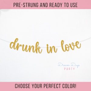 Drunk in Love Banner - Bachelorette Party Decor, Bridal Shower Banner, Bach Party Sign, Drunk in Love Bachelorette, Final Fiesta Decor