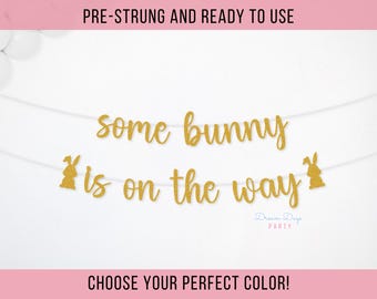 Some Bunny is on the Way Baby Shower Banner Decor, Bunny Themed Gender Reveal