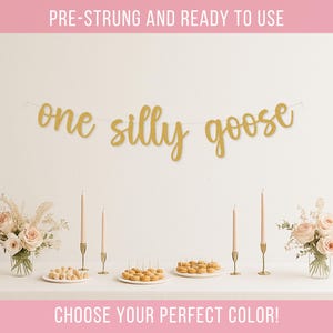 One Silly Goose Banner for First Birthday | Silly Goose Party Decor | Goose 1st Birthday Decorations | Custom Banner