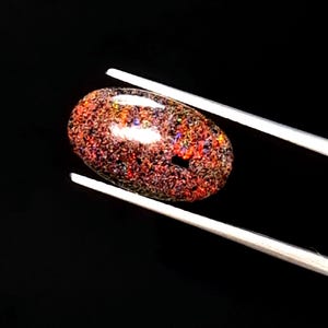 Könnte beinhalten: Nahaufnahme eines dunkelbraunen ovalen Opals mit schillernden roten, orangen und blauen Blitzen. Der Opal wird von einer Pinzette vor einem schwarzen Hintergrund gehalten.