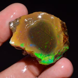 May include: A raw, unpolished opal gemstone with a translucent, honey-brown base color. The stone features vibrant flashes of neon green, blue, and red play-of-color throughout its irregular, rounded surface, set against a dark background.
