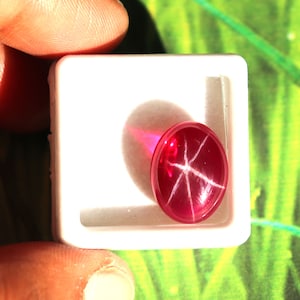 Op de afbeelding: Een helderroze ster-robijn edelsteen met een zespuntig sterpatroon in het midden. De robijn is geplaatst in een witte kunststof display case.