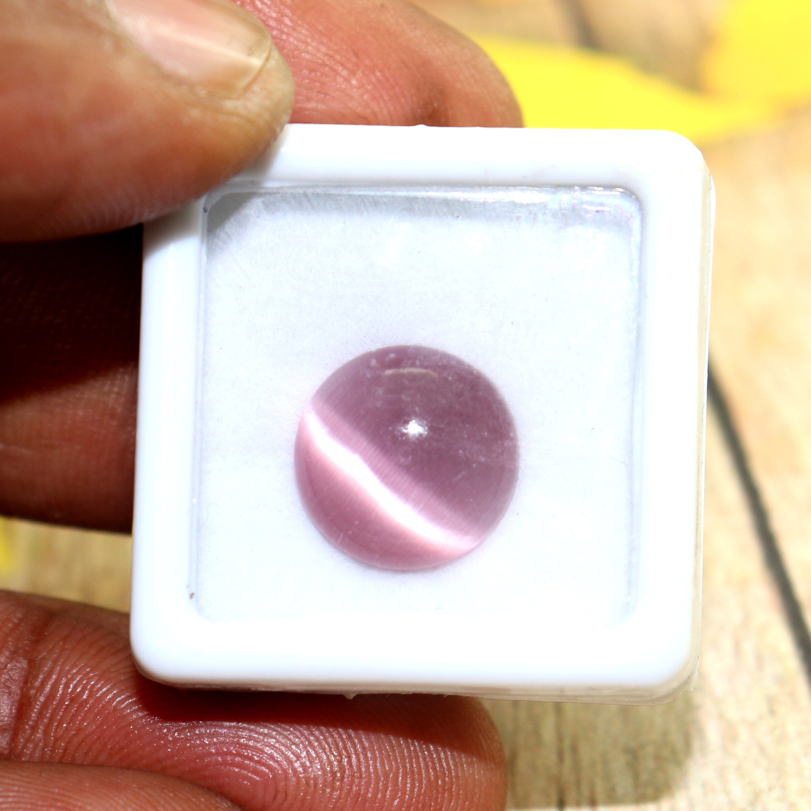 Natural Cat Eye Stone From Sri Lanka 6ct Cabochon Round Cats