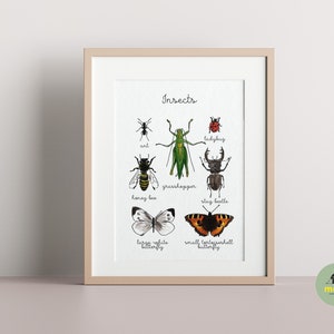 Póster de insectos, Impresión de insectos, Ilustración de minibestia, Arte de pared imprimible, Decoración de escuela en casa Montessori, Animales de aprendizaje, Arte de sala para niños