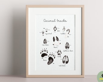 Printable animal tracks, educational print, nature study, animal footprints poster, montessori decor, instant download, montessori material