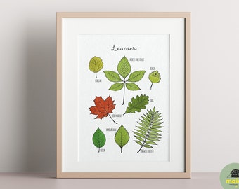 Leaves Poster, Educational Leaves Print, Leaf Types Illustration, Printable Wall Art, Montessori Homeschool Decor, Learning Animals, nature