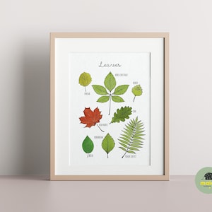 Leaves Poster, Educational Leaves Print, Leaf Types Illustration, Printable Wall Art, Montessori Homeschool Decor, Learning Animals, nature