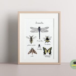 Póster de insectos educativos, Impresión de insectos, Descarga digital, Arte de pared imprimible, Decoración de escuela en el hogar Montessori, Animales de aprendizaje, Minibeast