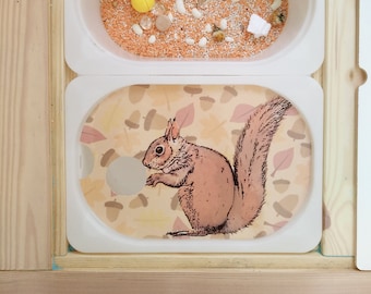 Inserto de ardilla Flisat, actividad para niños pequeños IMPRIMIBLE, inserto de animales, caja sensorial, imprimibles para la escuela en el hogar, inserciones Trofast grandes y pequeñas