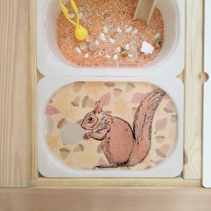 Op de afbeelding: Twee witte bakken met een houten frame. De bovenste bak heeft oranje linzen, witte bonen en een gele schep. De onderste bak heeft een bruine eekhoorn illustratie op een beige achtergrond met bruine eikels.