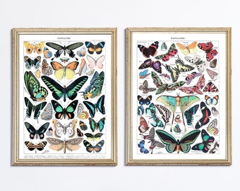 Vintage Butterfly Print Set, Educational Nursery Decor (Digital Download)