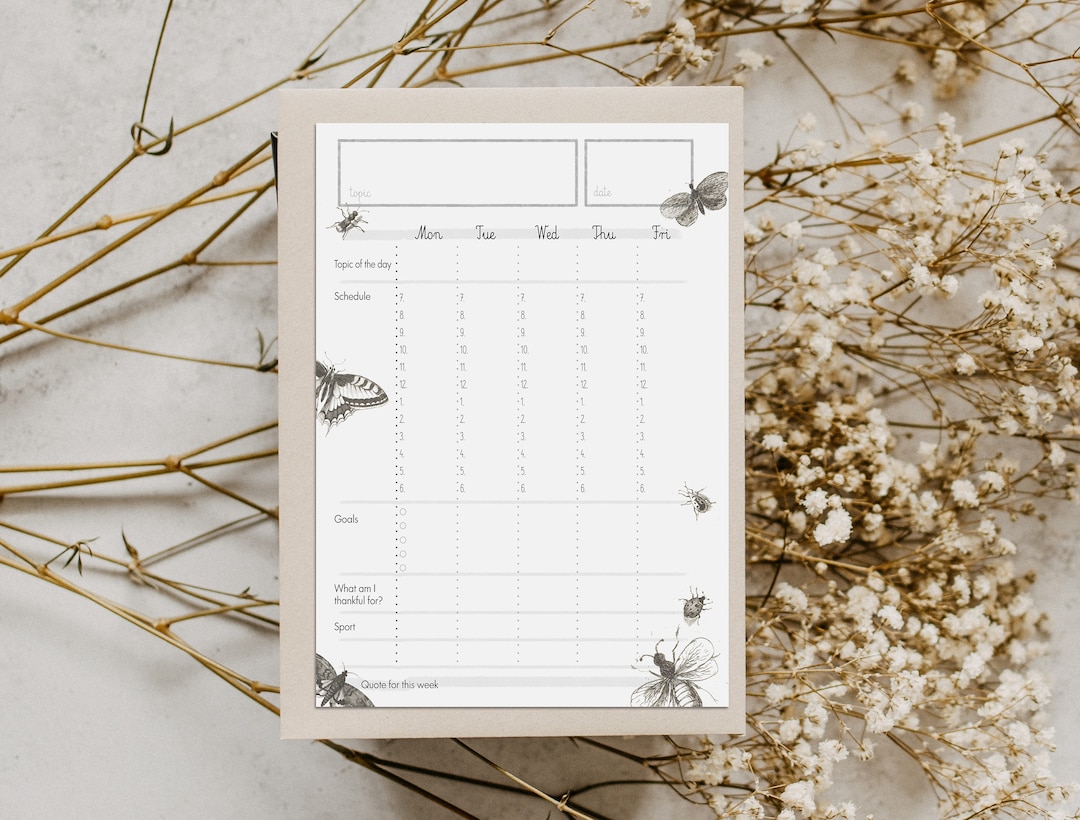 Homeschool Weekly Schedule, Printable Homeschool Planner, Homeschool ...