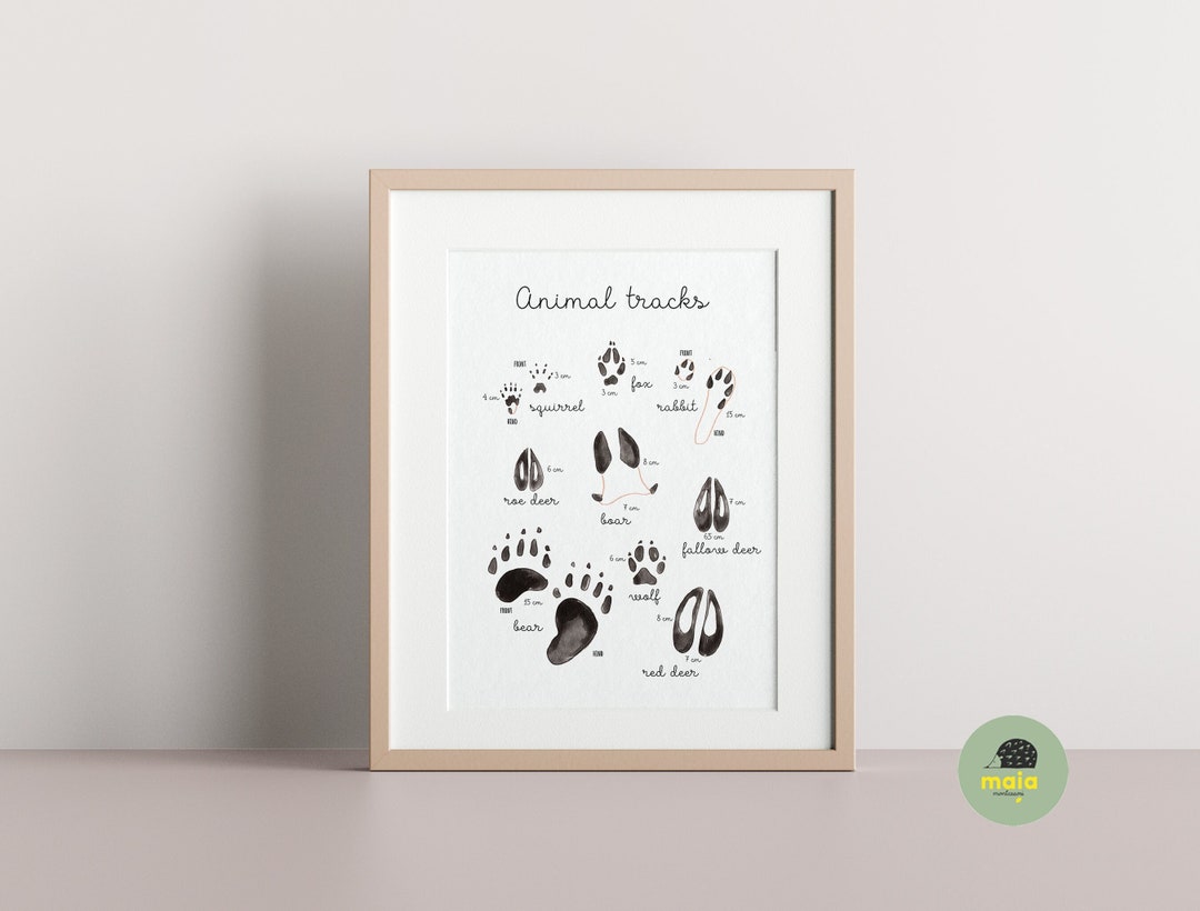Printable Animal Tracks Poster, Montessori Nature Study (digital ...