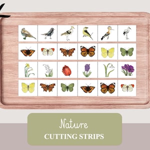 May include: A set of nature-themed cutting strips featuring images of birds, butterflies, and flowers. The strips are printed on white paper and are ready to be cut out.