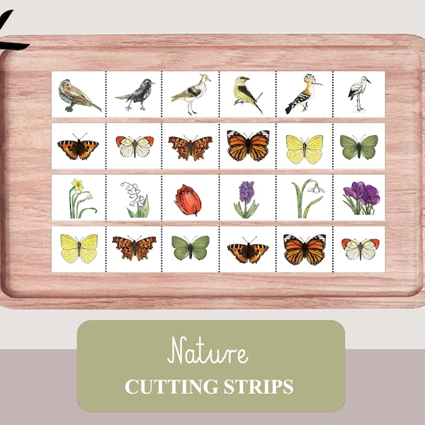 Spring Cutting Strips, Nature Printable Worksheet, Butterfly Scissors Practise, Birds Theme Unit, Montessori cutting activities