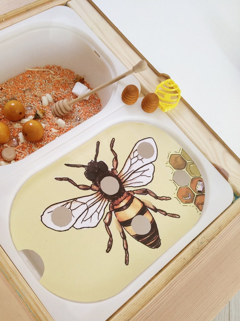 Puede incluir: Un contenedor sensorial de madera con dos compartimentos. Un compartimento tiene material sensorial naranja y blanco con un cuchar&oacute;n de miel de madera. El otro compartimento tiene una ilustraci&oacute;n de abeja con un patr&oacute;n de panal.