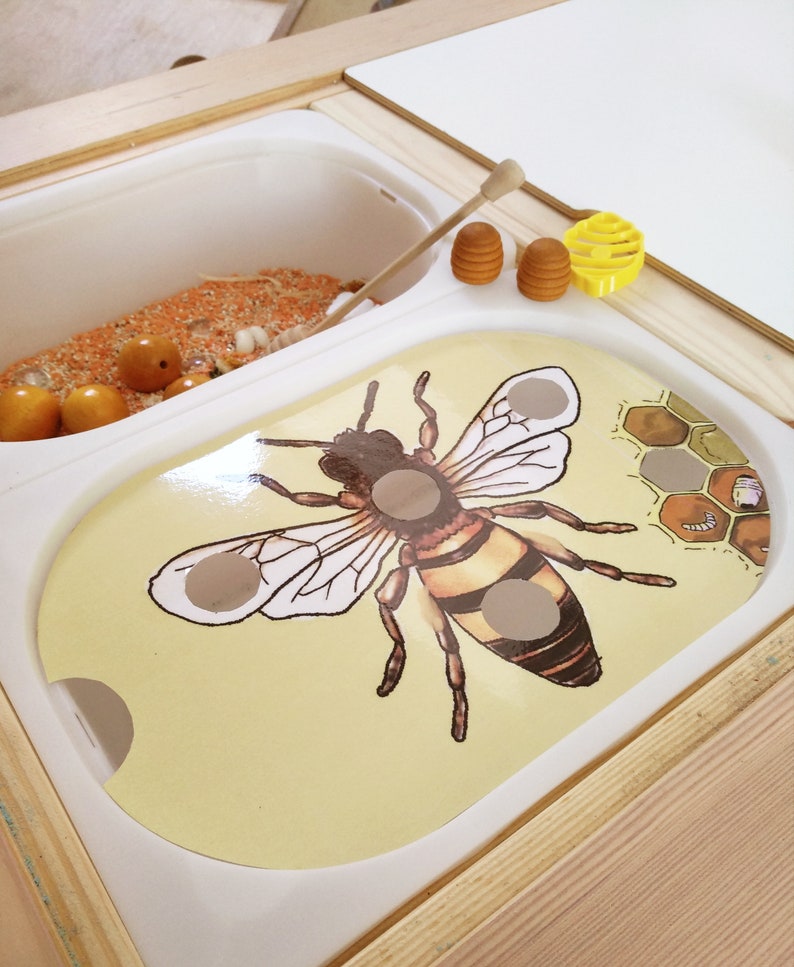 Puede incluir: Un contenedor sensorial de madera con un inserto de pl&aacute;stico blanco que presenta una ilustraci&oacute;n de una abeille. El contenedor est&aacute; lleno de materiales sensoriales de color naranja y marr&oacute;n. Tambi&eacute;n hay panales de abeja de madera y un palo de madera.