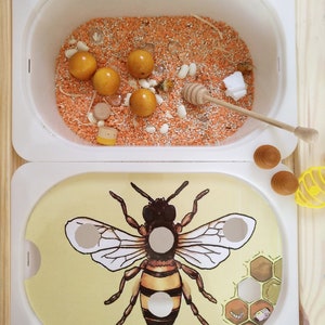 Puede incluir: Una caja sensorial blanca con dos compartimentos. El compartimento superior est&aacute; lleno de lentejas naranjas, frijoles blancos y bolas de madera. El compartimento inferior tiene una ilustraci&oacute;n de abeja y un dise&ntilde;o de panal.