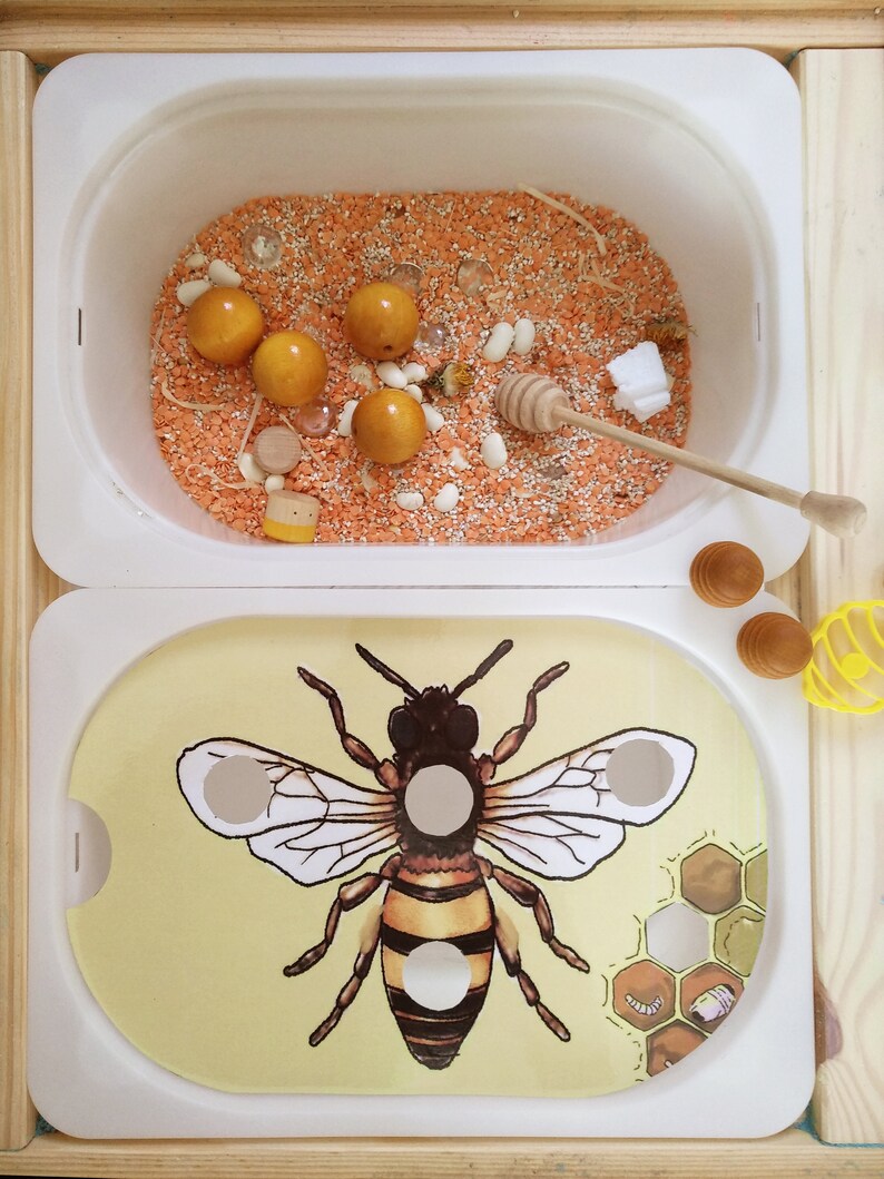 Puede incluir: Una caja sensorial blanca con dos compartimentos. El compartimento superior est&aacute; lleno de lentejas naranjas, frijoles blancos y bolas de madera. El compartimento inferior tiene una ilustraci&oacute;n de abeja y un dise&ntilde;o de panal.