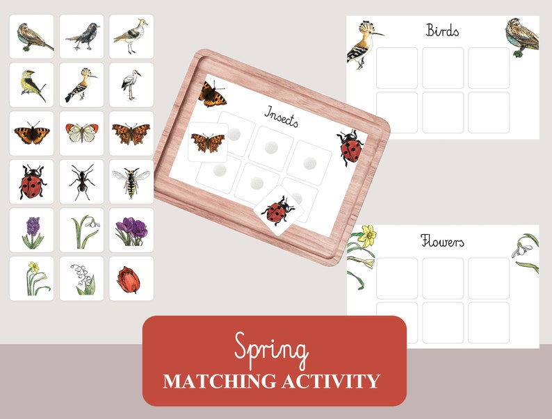Spring Insect Matching Spring Montessori Activities Bundle, Flowers Count and Clip Cards ...