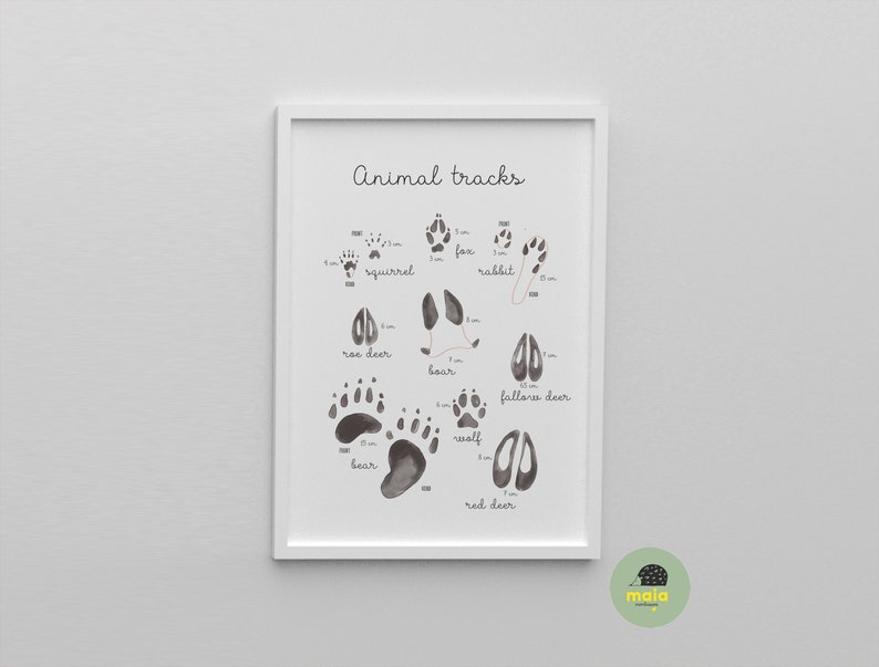 Printable Animal Tracks Poster, Montessori Nature Study (digital ...