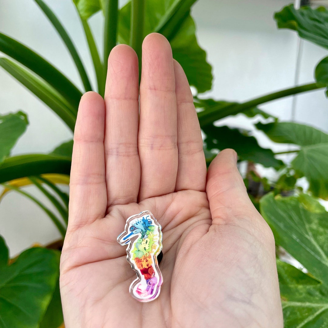 Zeepaard Pin Acryl Pin Regenboog Pin Gerecycled Plastic Etsy