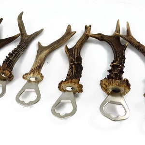 Puede incluir: Seis abridores de botellas de asta de ciervo con mecanismos de abridor de botellas de metal. Las astas son marrones y tienen un acabado natural.