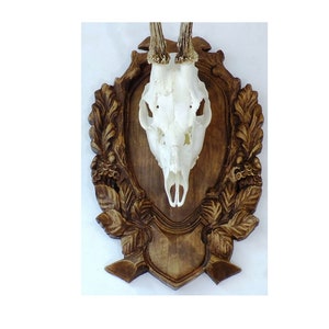Wooden Base Shield Trophy Wood Carving Mounting Plaque For Roe Deer Horn Antler