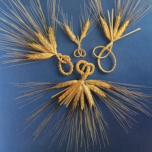 Pode incluir: Um conjunto de cinco espigas de trigo amarradas juntas em um nó decorativo. As espigas estão dispostas em um padrão circular, com os nós no centro. As espigas são de cor marrom claro e têm uma aparência natural e rústica.