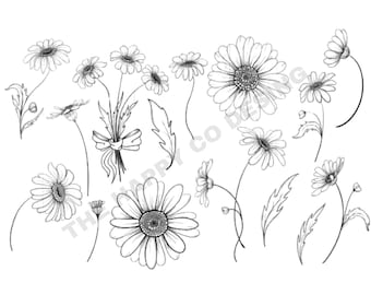 Daisy Outline SVG: Floral Clipart, Spring Wildflower Designs (Digital Download)