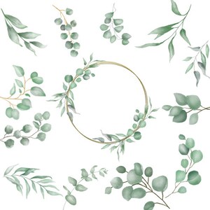 Eucalyptus Clip Art PNG x 12 Botanical Greenery, Watercolour Greenery,Wedding Invitation, Card Craft, Thank you card,  Free Commercial Usage