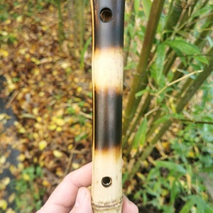 Medium Major pentatonic flute. Meditation. Raag Bhoopali.